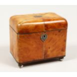 A GOOD REGENCY TORTOISESHELL TWO DIVISION TEA CADDY with segmented top on silver ball feet. 6ins