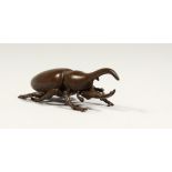 A JAPANESE BRONZE RHINOCEROS BEETLE 3ins long