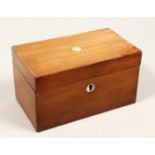 A 19TH CENTURY MAHOGANY TWO DIVISION TEA CADDY, mother of pearl tablet.