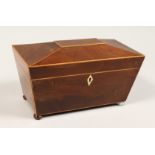 A REGENCY MAHOGANY TWO DIVISION TEA CADDY, satinwood banding on bun feet. 10.5ins long (one foot