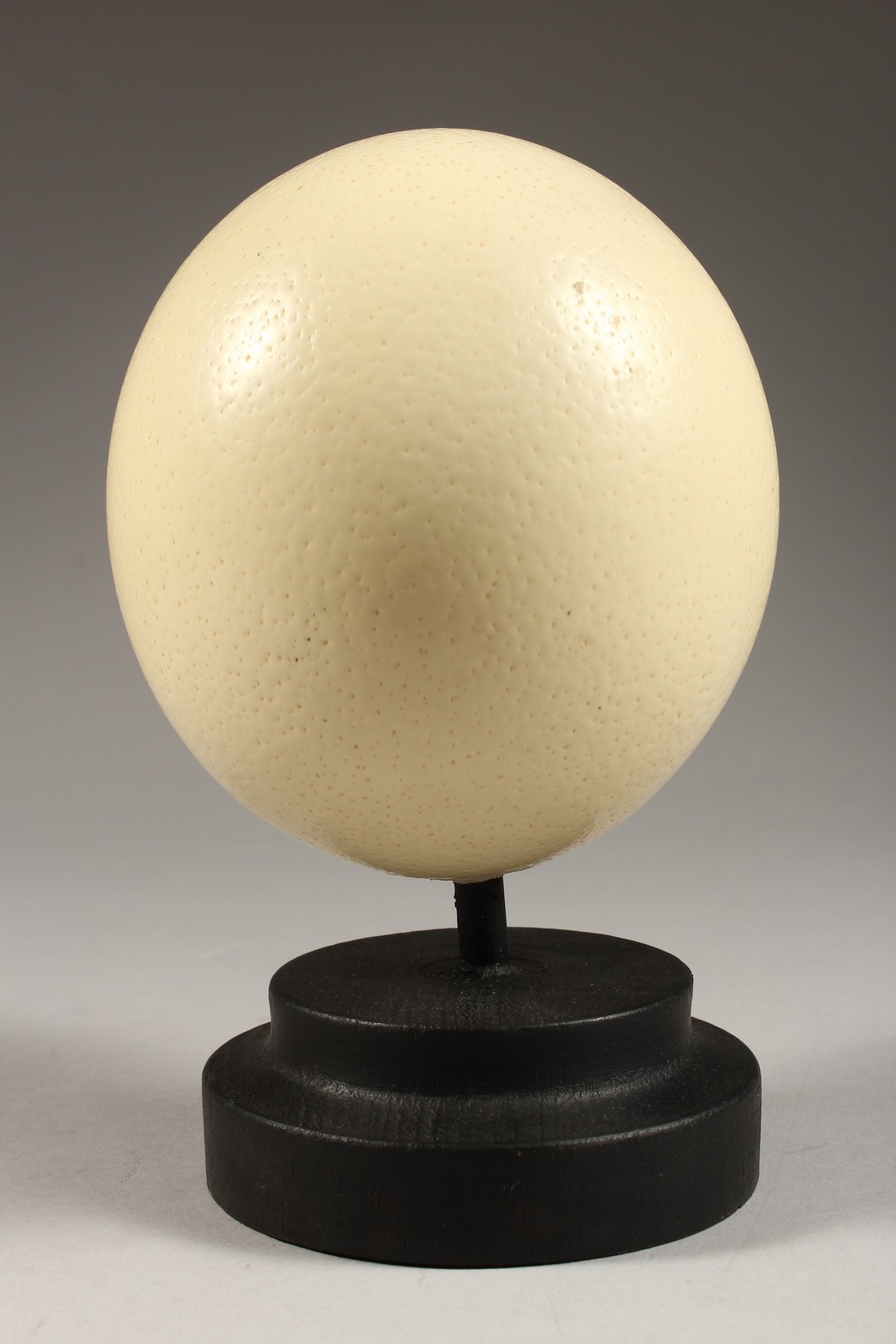 AN OSTRICH EGG on a plinth. 5ins high - Image 3 of 3