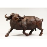 A HEAVY CARVED WOODEN OX. 2ft long.