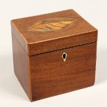 A SMALLGEORGE III SQUARE TEA CADDY with wood inlay as a shell. 4.5ins.