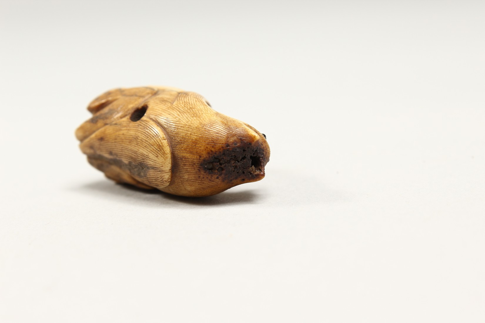 A CARVED BONE NETSUKE OF A BEAR 1.25ins - Image 5 of 6