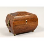 A REGENCY ROSEWOOD DOMED TOP TWO DIVISION TEA CADDY with brass handles and feet. 8ins long.