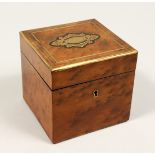 A FRENCH THYA WOOD SQUARE TEA CADDY the top with brass inlay. 4.5ins square.