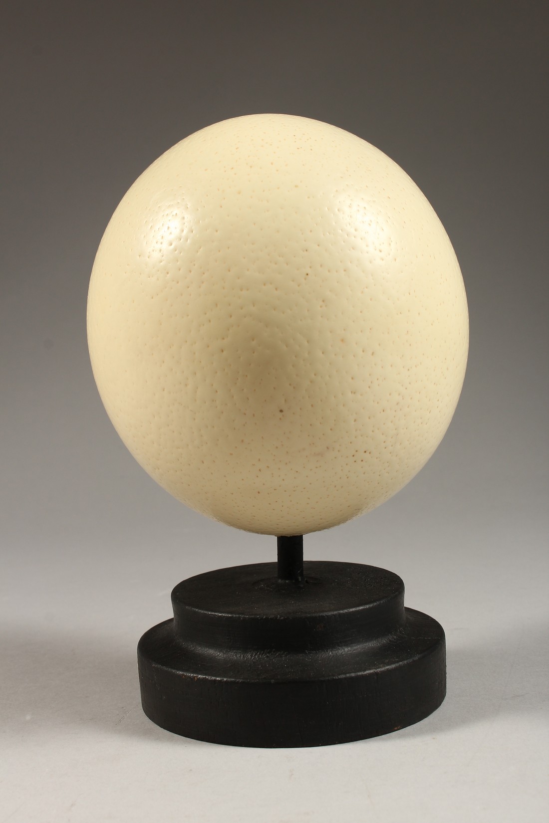AN OSTRICH EGG on a plinth. 5ins high - Image 2 of 3