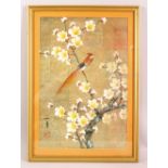 A CHINESE FRAMED PICTURE OF A BIRD, seated within a prunus tree, 53cm x 38cm.