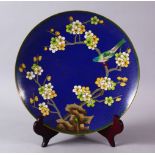 A CHINESE CLOISONNE PLATE & STAND - the dish with a royal blue ground with prunus decoration, 23cm.