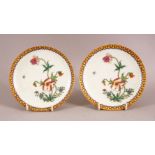 A PAIR OF CHINESE POLYCHROME DECORATED PORCELAIN PLATES, with floral decorations, base with six