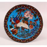 A JAPANESE CLOISONNE DISH, decorated with cranes and flowers, 30cm diameter.