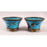 A PAIR JAPANESE CIRCULAR CLOISONNE JARDINIERES, the body decorated with birds and native flora and