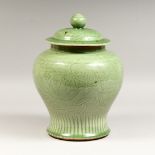 A GOOD CHINESE GREEN JAR AND COVER, engraved with carp, 12ins high.