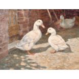 Donna Crawshaw (b.1960) British, 'Three White Ducks', oil on board, signed, 8" x 10" (20 x 25 cm)