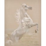 Franco Matania (1922-2006) Italian, A pastel study of a horse, signed and dedicated by the artist