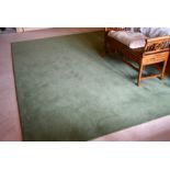 A PLAIN GREEN CARPET.