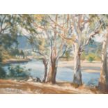 Evelyn Pamela Thalben-Ball (1927-2012) British/Australian, A view of a river through trees, oil on