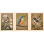 June Taylor, 'Triptych of Birds', Acrylic on canvasboard, each 7" x 5".