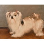 Ruth Bowyer, Lhasa Apso dog, oil on canvas, 16" x 20".