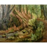 20th century, A forest stream with a collapsed tree, oil on canvas, 20" x 24".