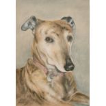 Iris Wells (c. 2014) 'Jessie', A head study of a greyhound, pastel, signed, 12.5" x 9".