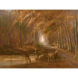 Early 20th century, A herd of deer watering in a woodland glade, oil on panel, indistinctly