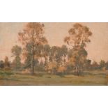 Alfonso Toft (1866-1964) British, An oil sketch of trees at dusk, oil on board, 5" x 8.5".