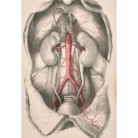 A set of three anatomical lithographs after J. Walsh circa 1841, all 15" x 10", (3).