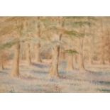 20th century school, a woodland scene with wildflowers, watercolour, indistinctly signed, 9" x 13".