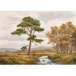 Robert Eggington (b. 1943) British, A scene of a moorland stream, oil on board, signed, 22" x 30".