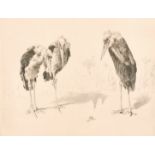 Leonard Robert Brightwell (1889-1983) British, 'Three of A Kind', drypoint etching, signed and