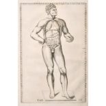 Human anatomy from Eustachios Tabulae anatomy (circa. 1714), print, 11" x 7".