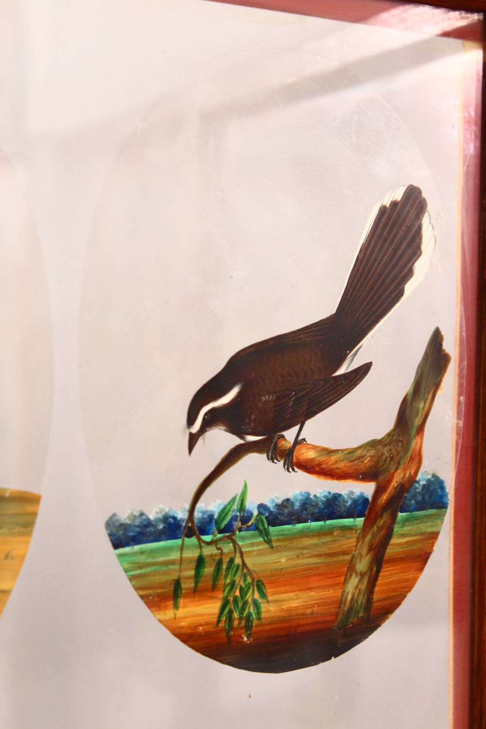 A FINE FRAMED FOUR PANEL SET OF 19TH CENTURY INDIAN SCHOOL PAINTINGS OF BIRDS on mica, each framed - Image 4 of 12