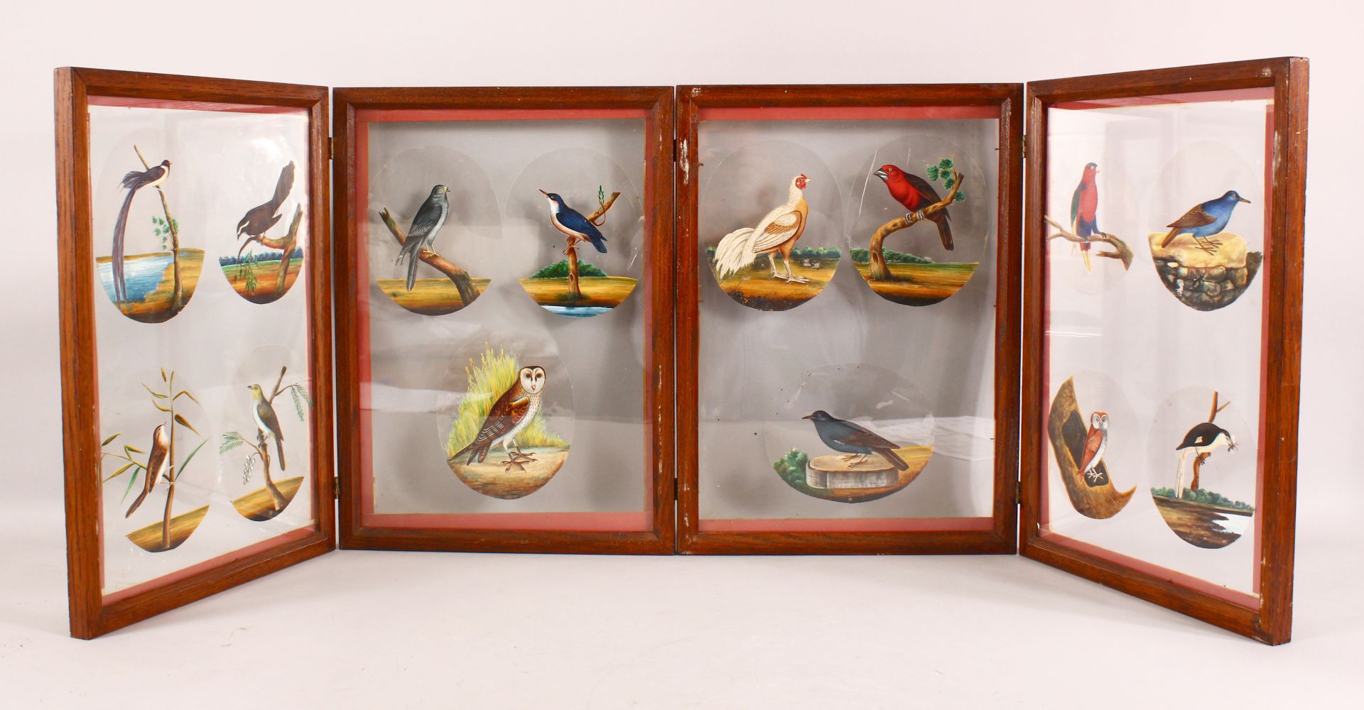 A FINE FRAMED FOUR PANEL SET OF 19TH CENTURY INDIAN SCHOOL PAINTINGS OF BIRDS on mica, each framed