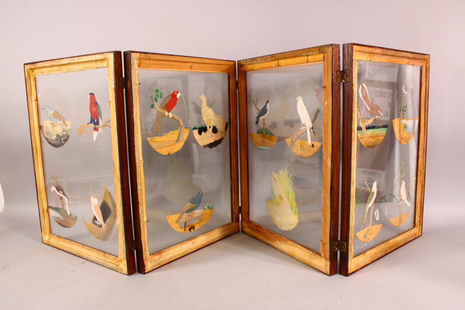 A FINE FRAMED FOUR PANEL SET OF 19TH CENTURY INDIAN SCHOOL PAINTINGS OF BIRDS on mica, each framed - Image 12 of 12