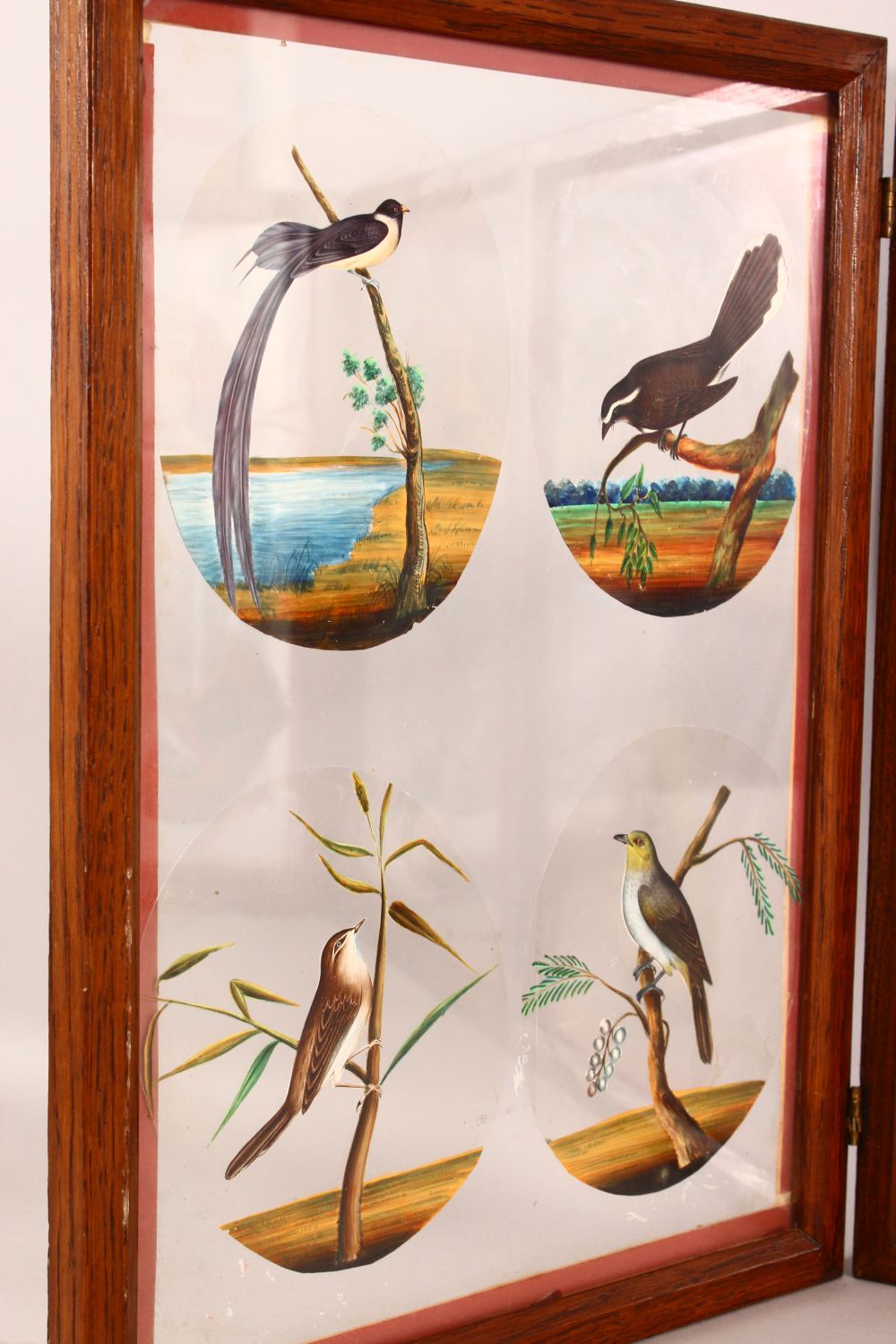 A FINE FRAMED FOUR PANEL SET OF 19TH CENTURY INDIAN SCHOOL PAINTINGS OF BIRDS on mica, each framed - Image 2 of 12