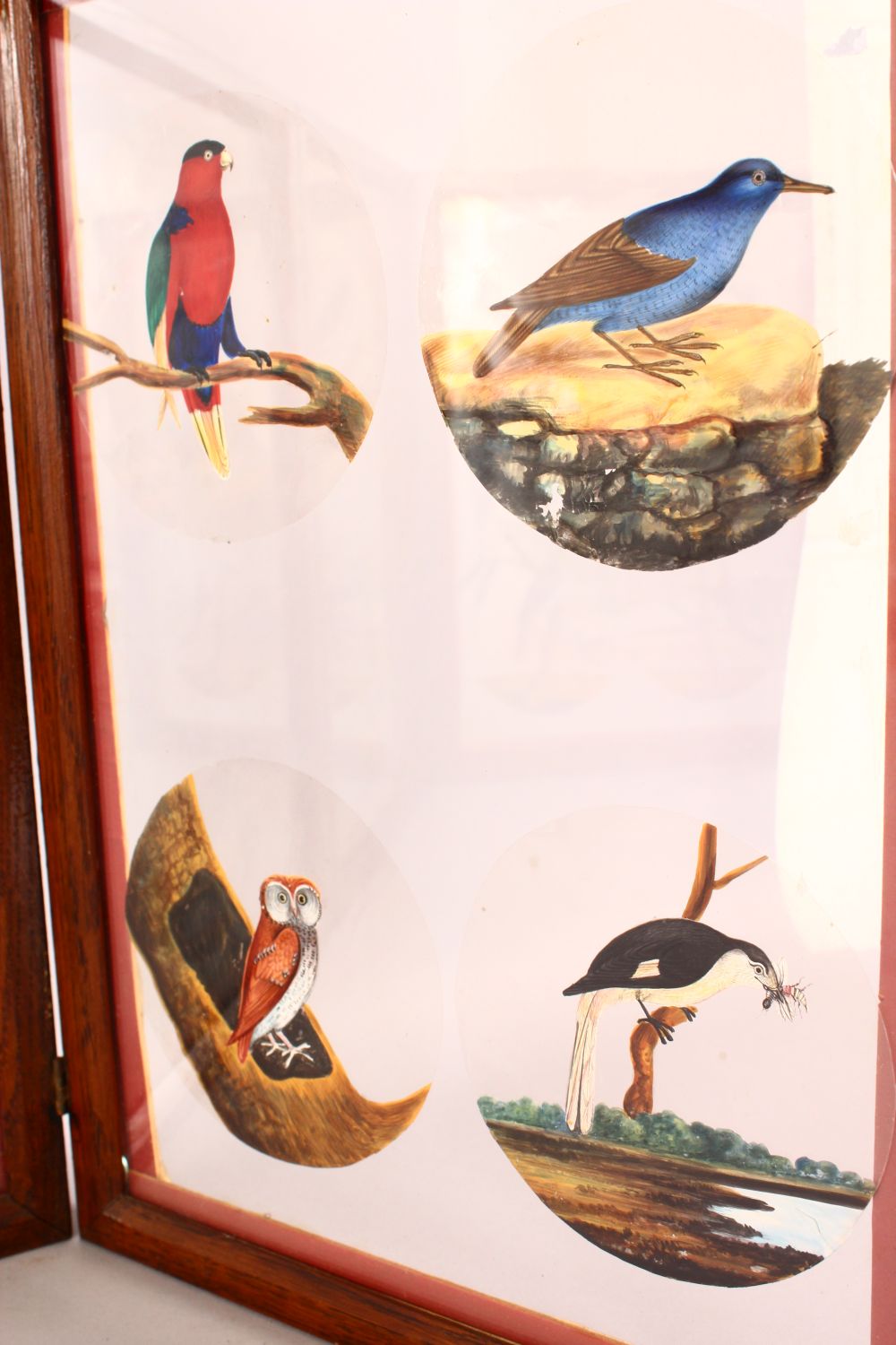 A FINE FRAMED FOUR PANEL SET OF 19TH CENTURY INDIAN SCHOOL PAINTINGS OF BIRDS on mica, each framed - Image 10 of 12