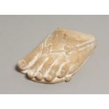 A MUSEUM PLASTER COPY OF A ROMAN OR GREEK FOOT 7ins long