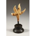 A SMALL STARFISH mounted on a circular base. 8ins high