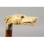 A GOOD VICTORIAN CARVED IVORY GREYHOUND HANDLE WALKING STICK of bamboo design