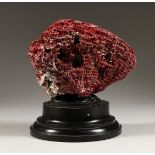A RED CORAL, mounted on a circular base (AF) 8ins high