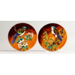 A PAIR OF PORCELAIN CIRCULAR TILES, birds and flowers. 8ins high.
