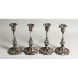 A SET OF FOUR ROCCO STYLE SHEFFIELD PLATE CANDLESTICKS. 9.5ins high.