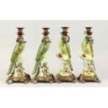A SET OF FOUR CONTINENTAL PORCELAIN PARROT CANDLESTICKS with gilt bases 14ins high.