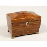 A REGENCY ROSEWOOD DOMED TOP TWO DIVISION TEA CADDY with iron escutcheon on brass bracket feet. 7.