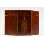 A GOOD GEORGE III MAHOGANY HEXAGONAL SHAPED TEA CADDY with satinwood stringing and oval. 5ins high.