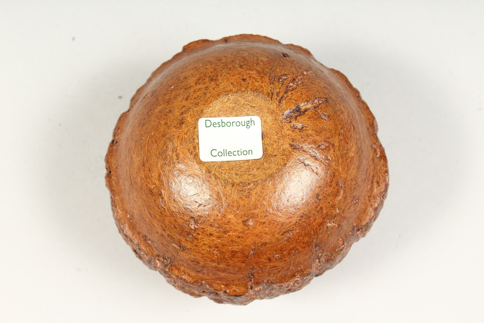 A TREEN BRAZIL NUT, carved and pierced, Desborough Collection. 4ins diameter - Image 4 of 4