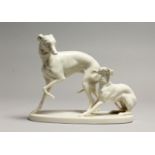 A GOOD NYMPHENBURG WHITE GLAZED PORCELAIN MODEL OF A WHIPPET AND PUP, AFTER P.J. MENE on an oval