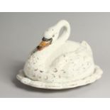 A STAFFORDSHIRE POTTERY CHEESE DISH AND COVER MODELLED AS A SWAN. 11ins long.