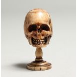 A MINIATURE BONE SKULL ON A STAND 2ins high